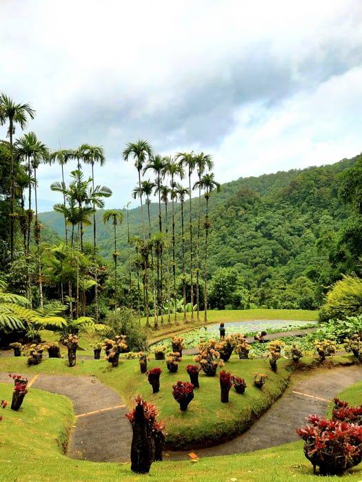 Le Jardin de Balata