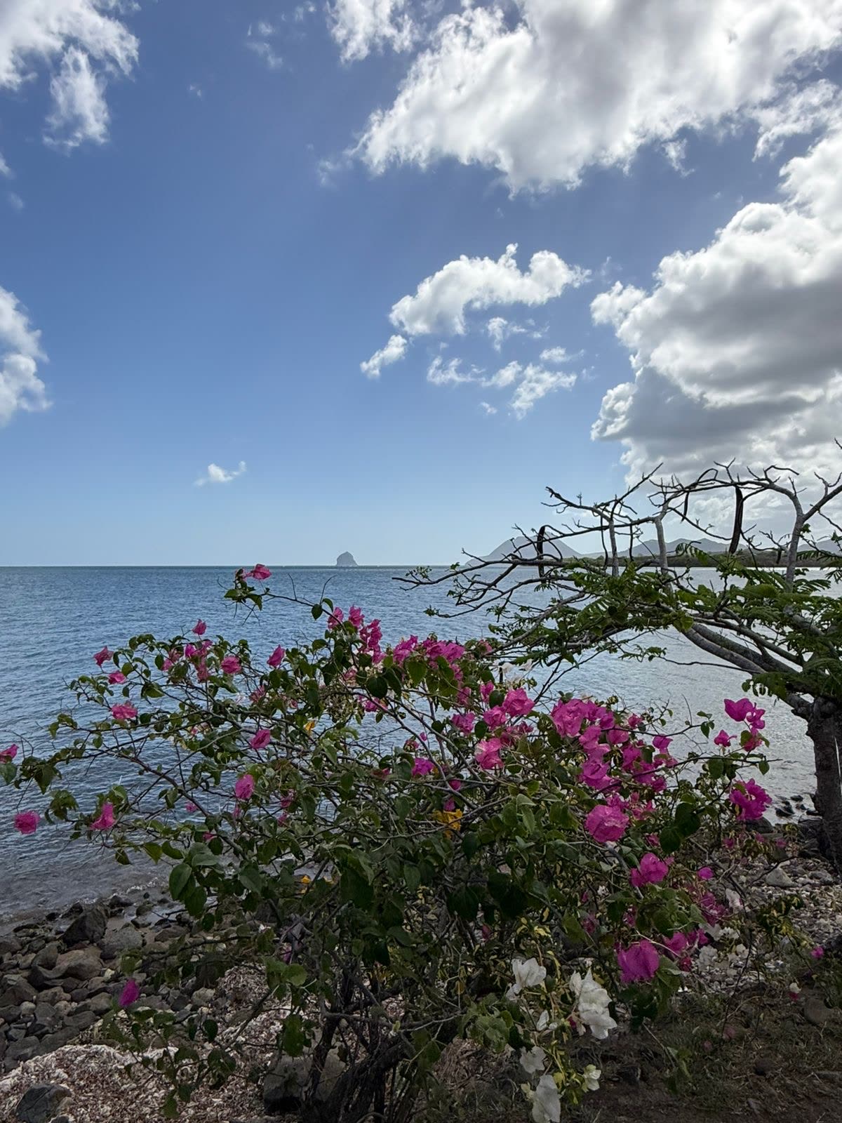 Excursion en Martinique