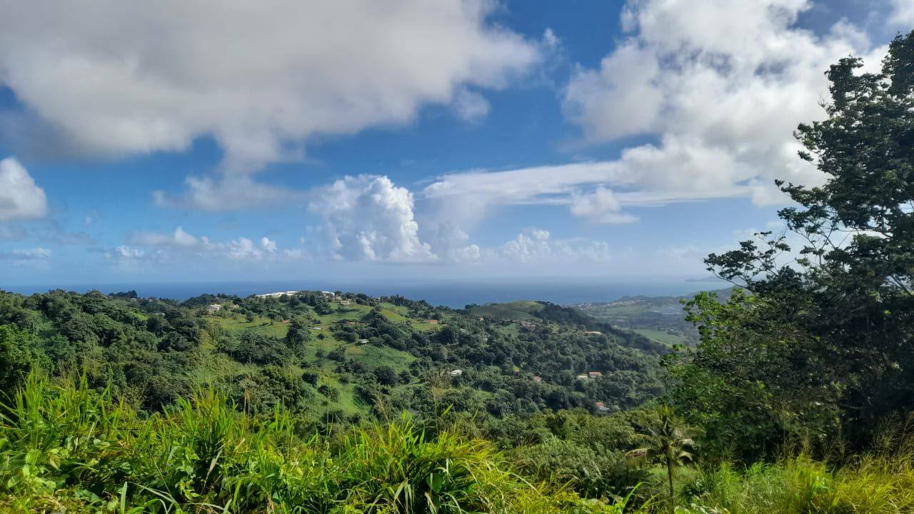 Paysage Martinique