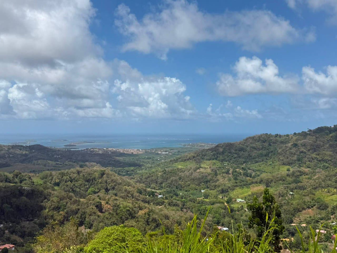 Paysage Martinique